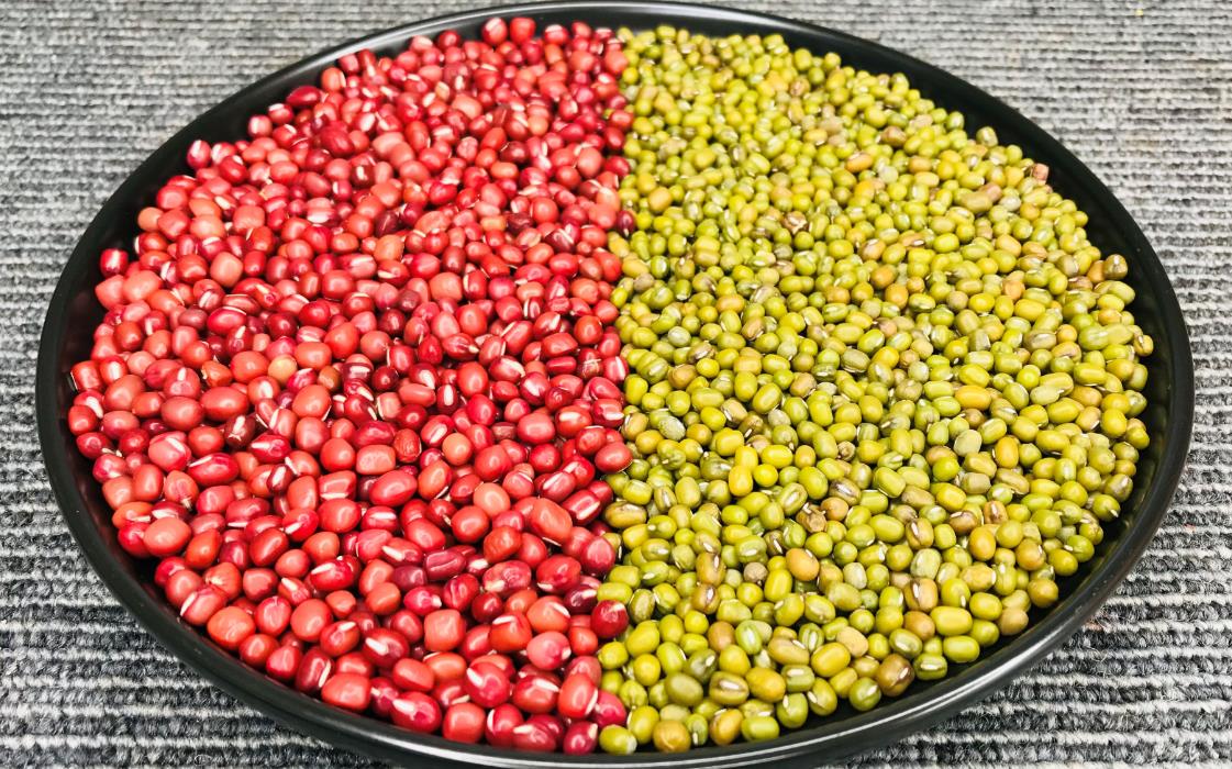 綠豆是什么植物?營養價值與紅豆有什么區別