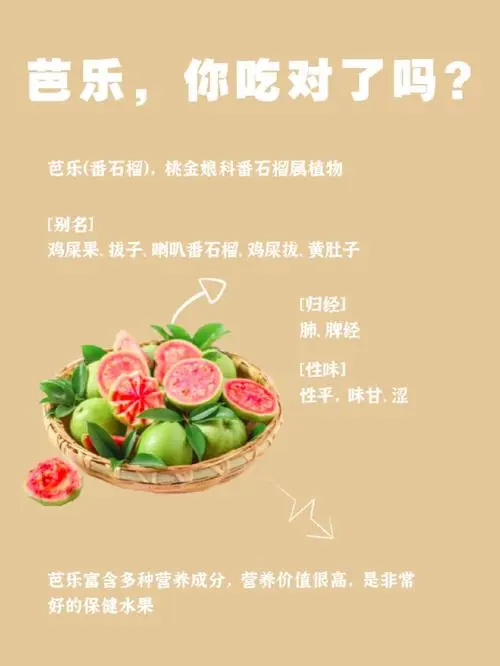 芭樂有什么營養價值,小孩能吃嗎