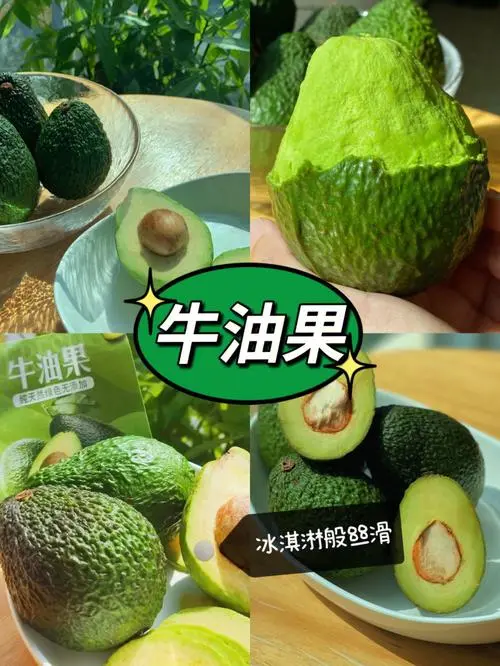 牛油果除了吃還能干什么,多樣性用途與環保價值探索