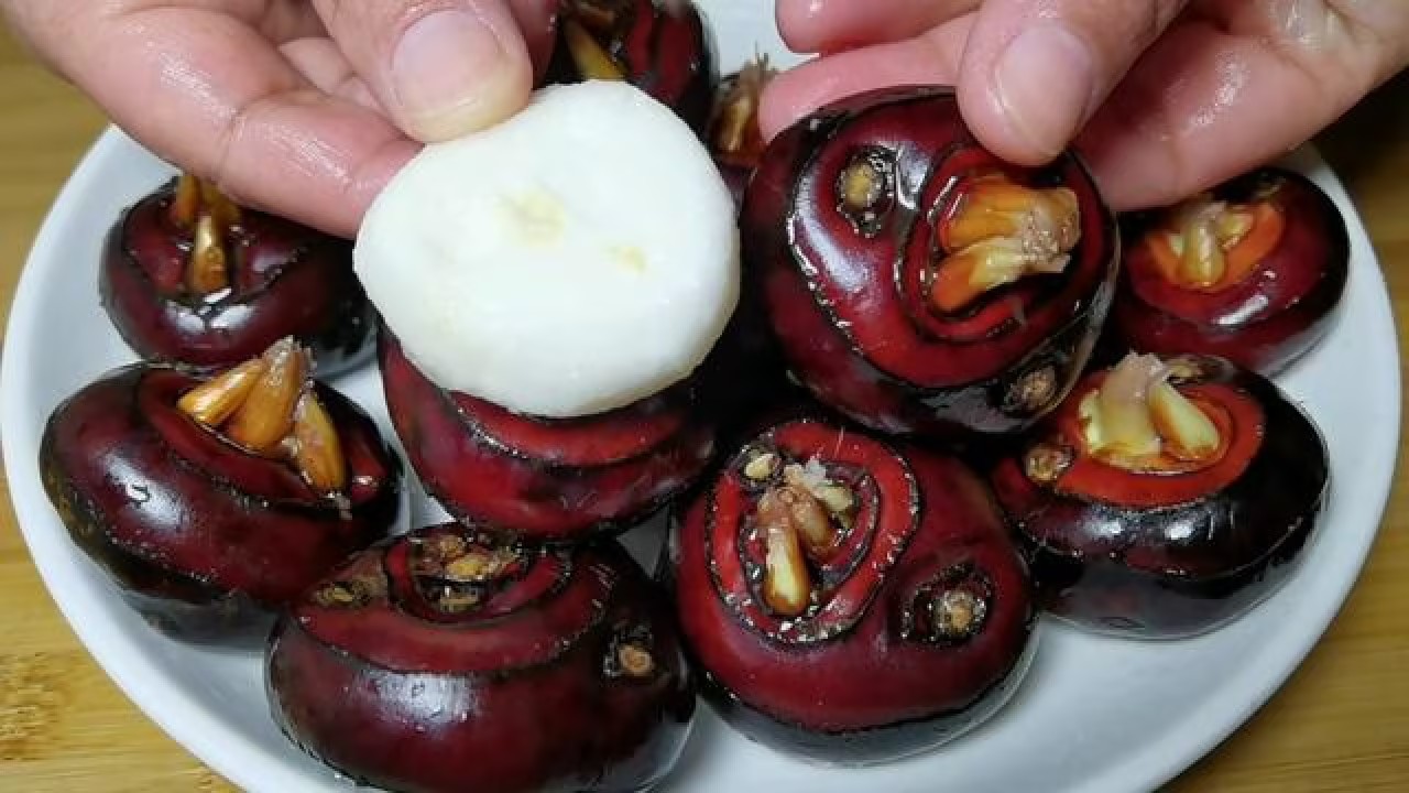 荸薺要去皮吃嗎?口感、營養與食用建議