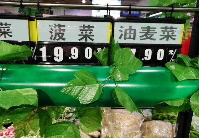 <b>菠菜2024年9月23日最新價格信息及行情走勢</b>