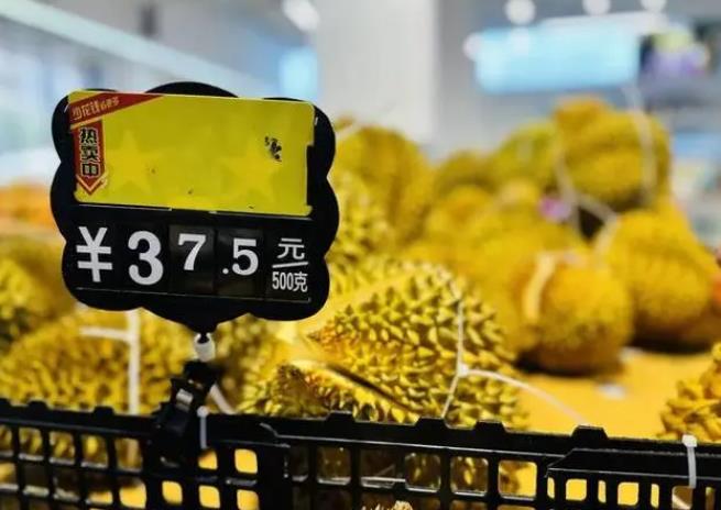 <b>榴蓮海南、廣東2024年9月27日最新價格信息及行情走勢</b>