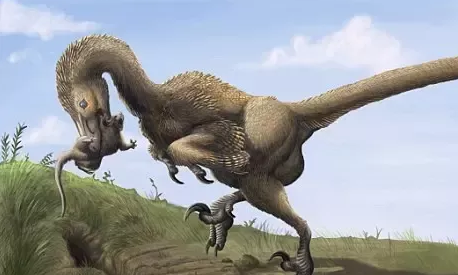 哺乳動物明明是統治地球的高等生物,為什么牙齒這么垃圾?