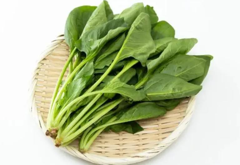 <b>健康提醒：菠菜不能與這些食物一起吃知道嗎？</b>
