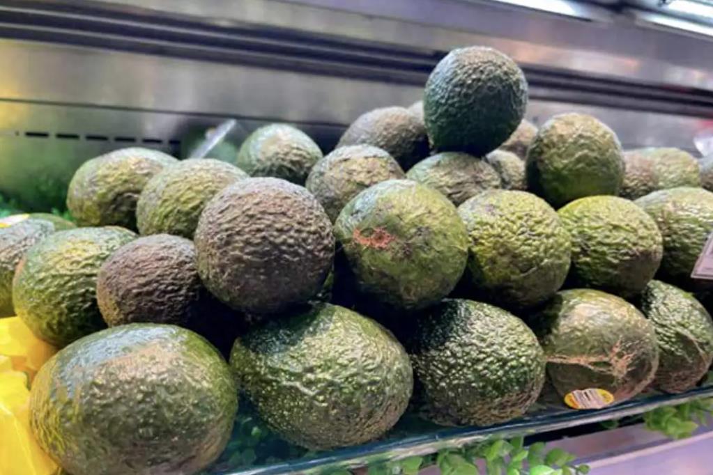 <b>云南高山牛油果2024年10月11日最新價格信息及行情走勢</b>