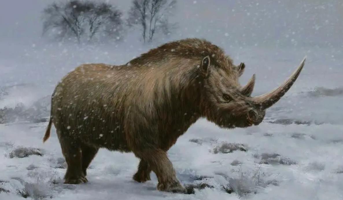 獨角獸這種動物存在嗎,有哪些動物和獨角獸相似?