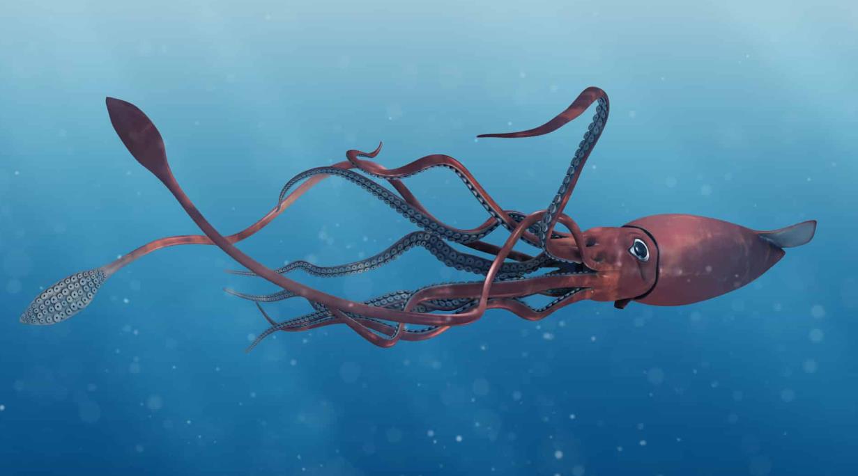深海生物奇觀:從視覺器官看生物適應與多樣性