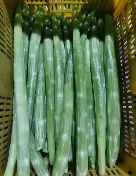 新鮮萵筍巧處理技巧,干凈衛(wèi)生又美味