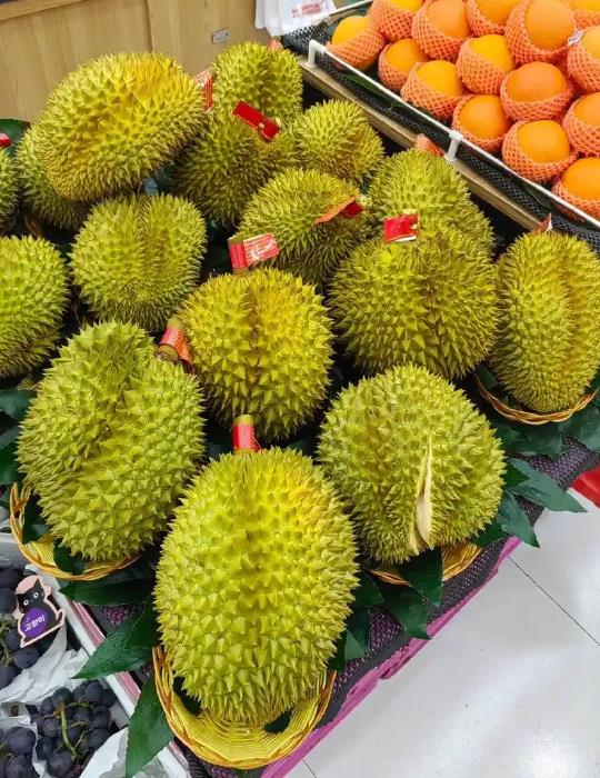 榴蓮適合小朋友吃嗎?解析它的營養與注意事項