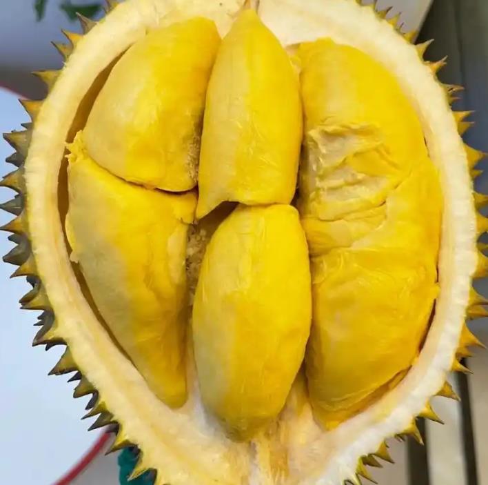 超市的榴蓮怎么保存那么長時間不會壞？