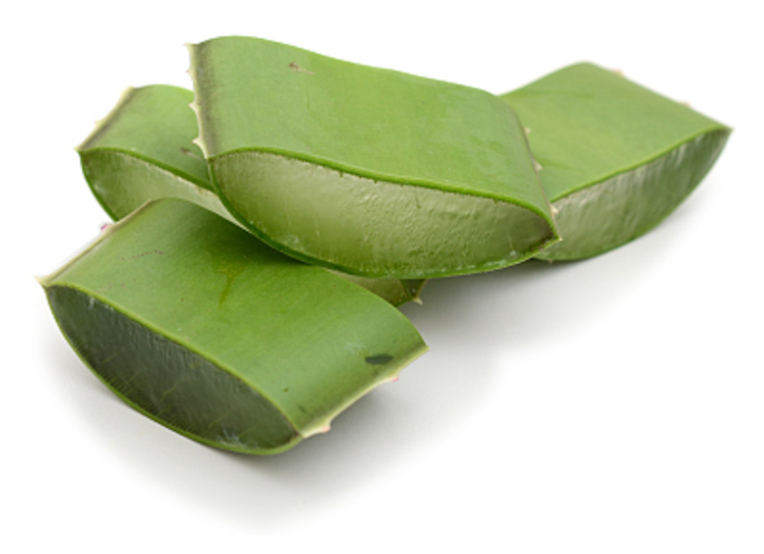 蘆薈 蘆薈葉子發(fā)黃怎么解決,怎么處理