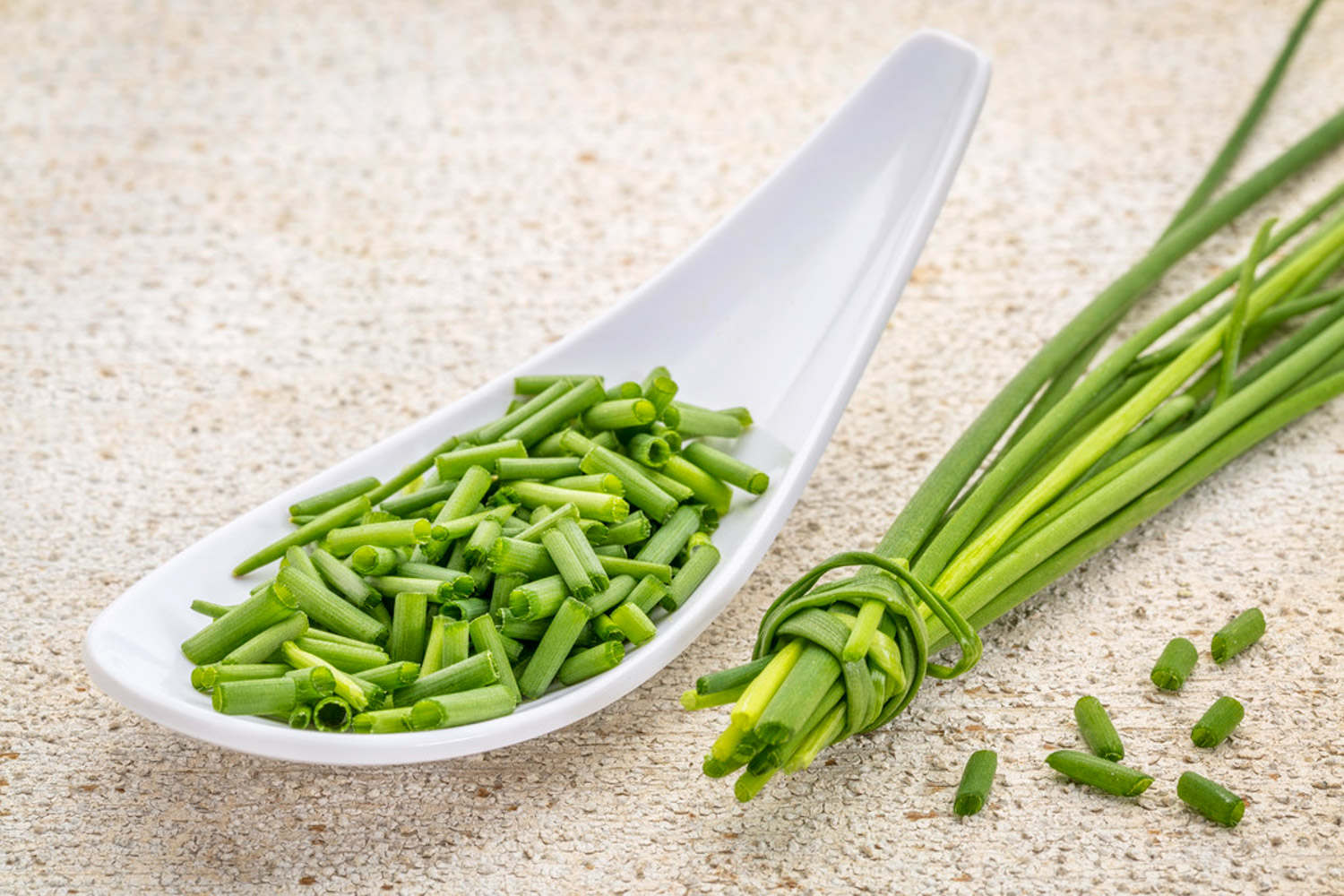 小蔥的種植方法與時間