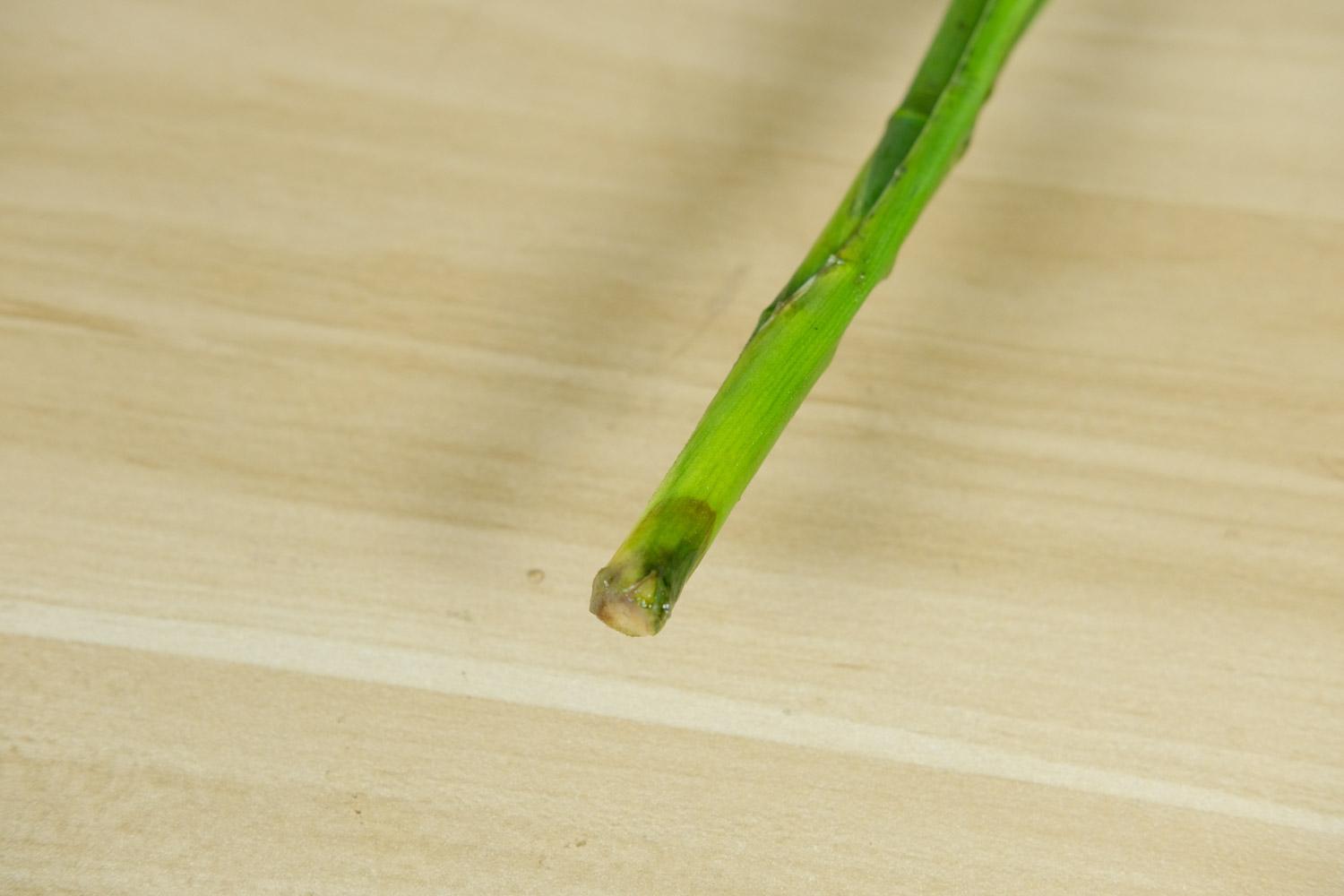 富貴竹 富貴竹凍了還能活嗎