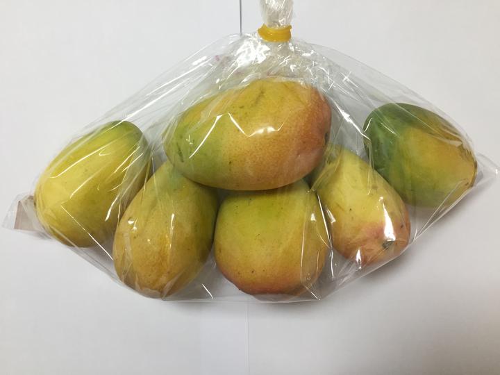 芒果保鮮黑科技?冷凍保存讓美味超長待機!